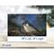 Original photography nature Christmas cards with a tufted titmouse available at Cove Creek Photography.